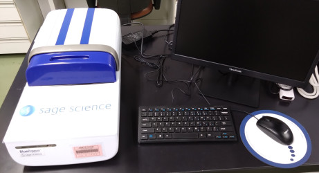 DNA断片ゲル抽出装置