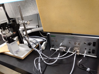 非破壊型光合成電子伝達解析装置