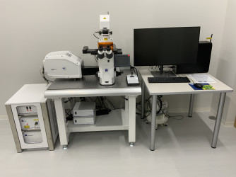 共焦点レーザー顕微鏡