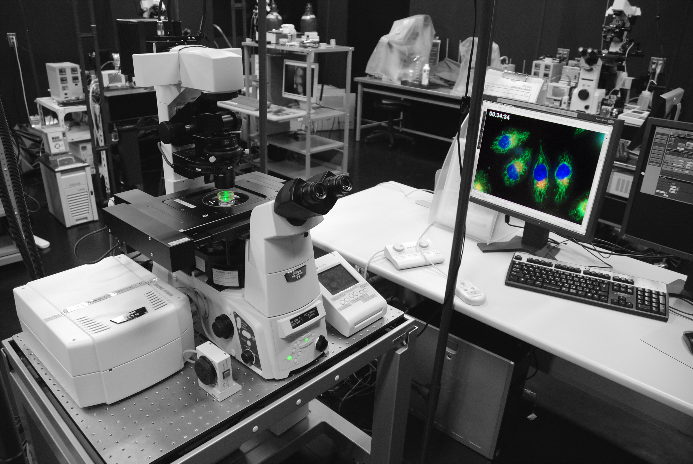 NIC_20100512_Microscopy-Room_48-mono.jpg