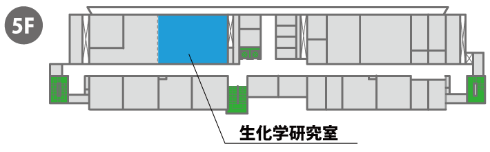 フロア図